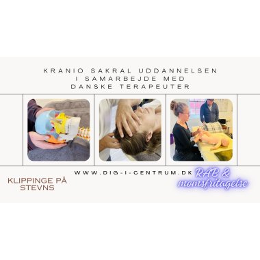 Kranio Sakral terapeut Uddannelsen